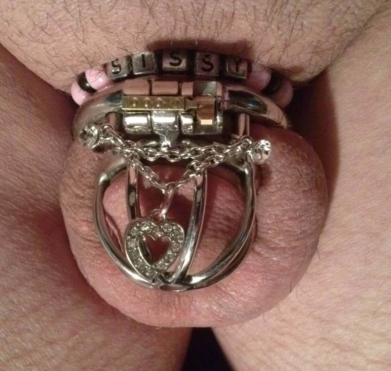 justcaged: tkellississydesires: Thought I would post a few pictures of my little