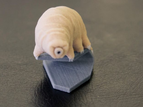 Ode To TheTardigrade