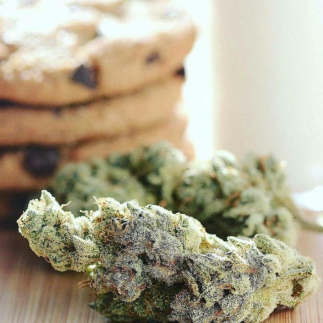 thedailychief:Cookies with’s Cookies! 🍪🥛🤤📷:instagram.com/boyscoutcookies