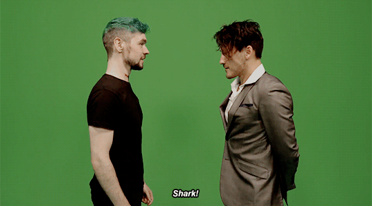 markired:  sharks and bears and ethans, oh my! 