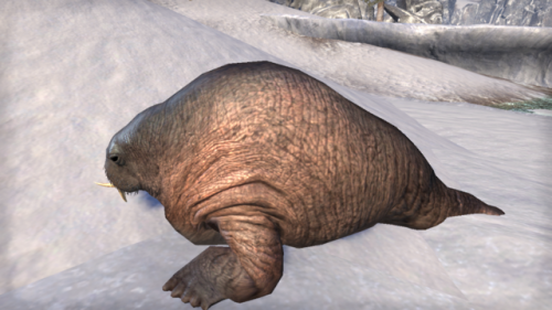 partyatsanguines:eso horker appreciation