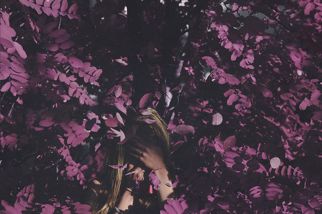fox-corner:  A purple haze by morbiddaisies on Flickr.