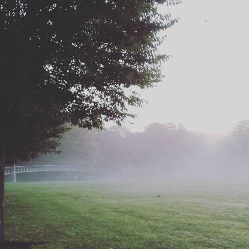 Mist over the Taff this morningBlackweir, Cardiff