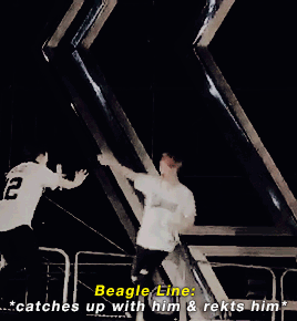 sehunned: When the Beagle Line would walk a Thousand Miles to terrorize Kyungsoo (cr.)