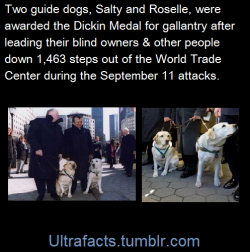 ultrafacts:     (Fact Source) Follow Ultrafacts