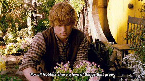 black-nata:dredsina:moonymartell:Concerning Hobbits↳ Lord of the Rings: The Fellowship of the Ring -