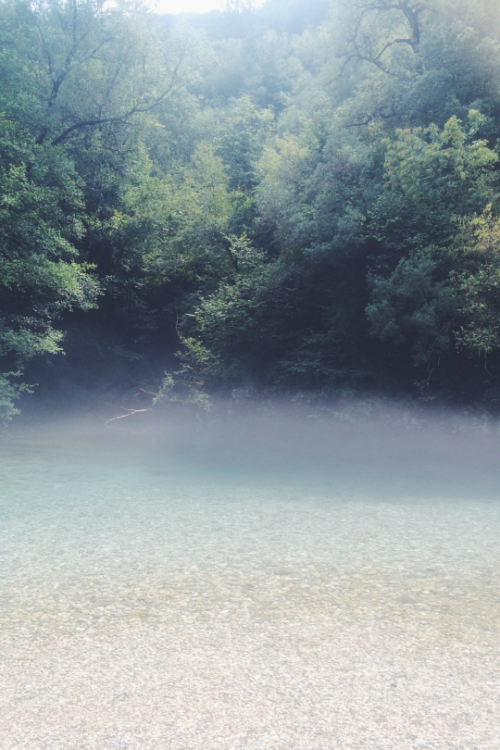 tulipnight:Misty river by Renée van der Zanden