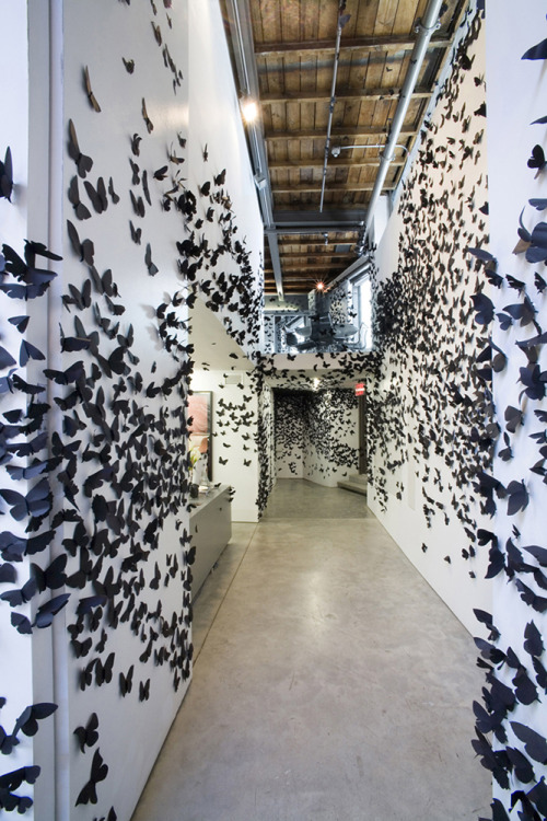The Black Cloud art project, by Carlos Amorales, features dark clouds on walls made up of tens of th
