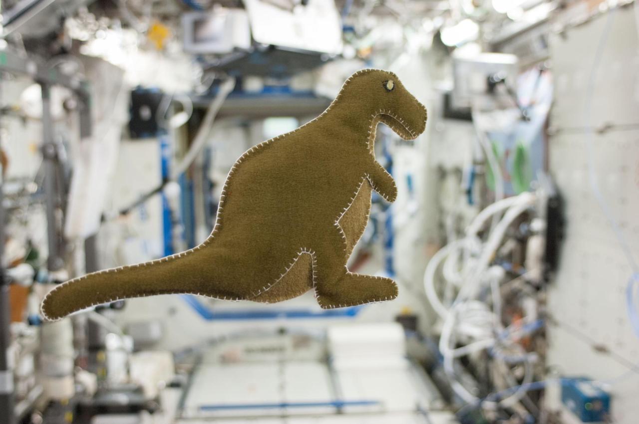 NASA astronaut Karen Nyberg, Expedition 37 flight engineer, made this stuffed dinosaur toy aboard the International Space Station, using scraps of food-packaging liners and a T-shirt. The dinosaur is dark green and floats inside of the station. Credit: NASA/Karen Nyberg