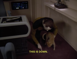 Raptorific:  Can’t This Show Just Be Nothing But Data Training Cats 