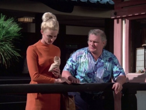 Hawaii Five-O (TV Series) - S8/E9 ’Retire in Sunny Hawaii… Forever’ (1975)Charles Durning as 