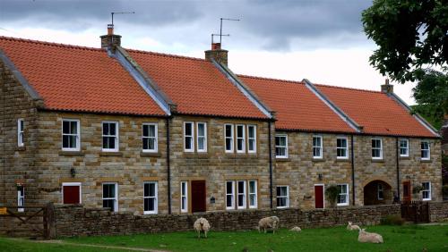 yorksnapshots:Living with Sheep in Goathland, North Yorkshire, England.