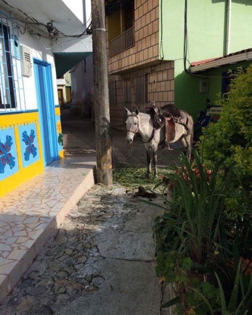 Porn #guatape #pueblo #Colombia photos