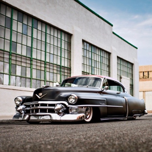 XXX utwo:  1953 Cadillac Coupe Deville ©  Joshua  photo
