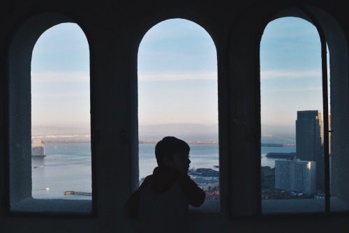 purifiant:  the coit tower, san francisco