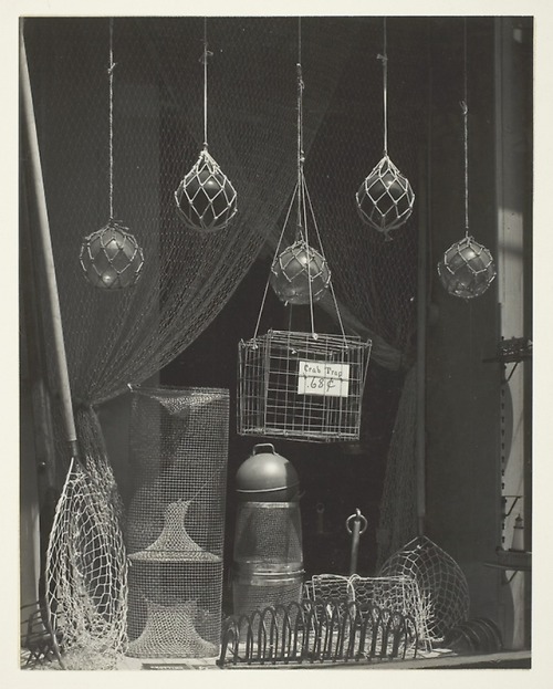teconozcomascarita:Fisherman’s store, Fulton Street, New York. Todd Webb, 1948