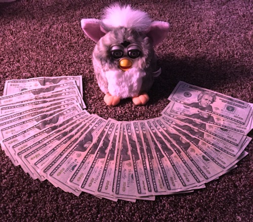 furbykisses:This is the money furby, reblog for good luck in...