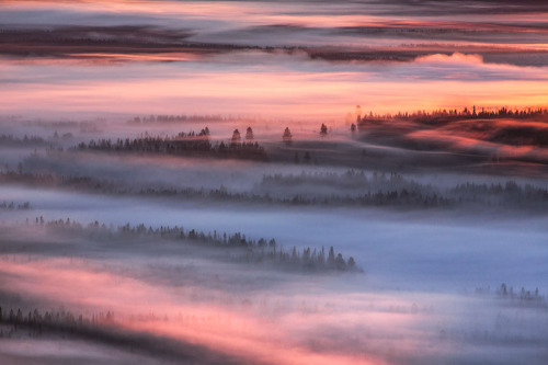 melodyandviolence:    Tranquil forest  Iso-Syöte, Finland by Tiina Törmänen  