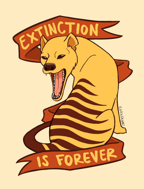  Incoming charity sticker design for the year of the (tasmanian) tiger Patreon | Twitter 