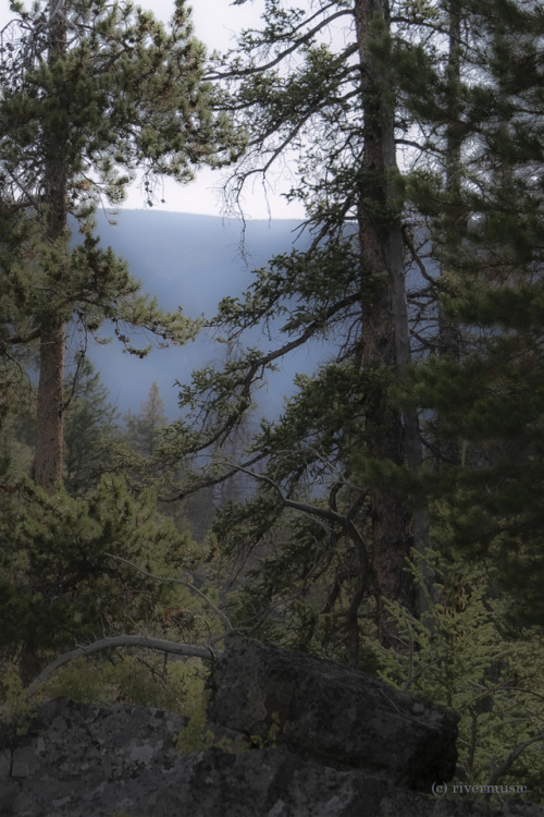 Beauty through the Branches&copy; riverwindphotography, August, 2019