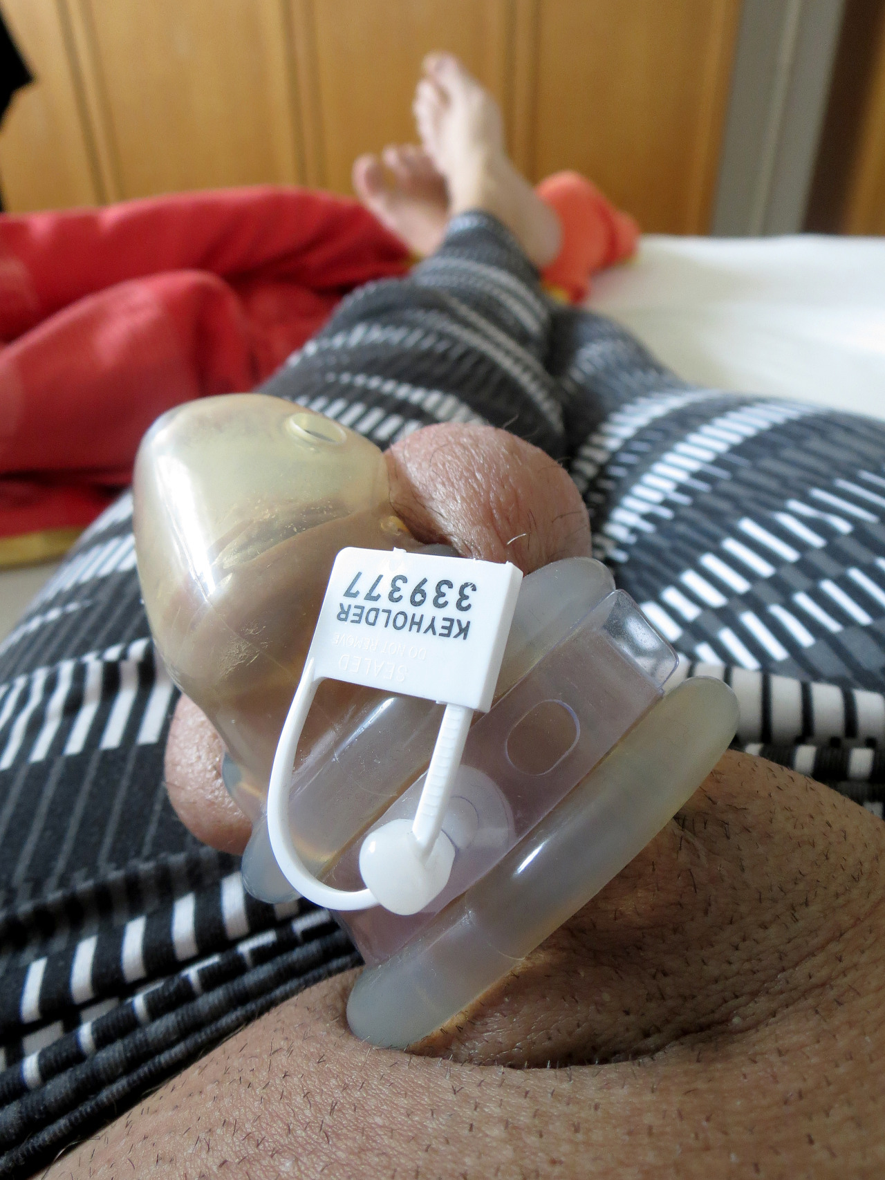 chastity333:  The 5th day of my chastity session. At the moment I have to stay 64
