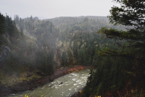 youngadventure: Snoqualmie River, Nov. 2017