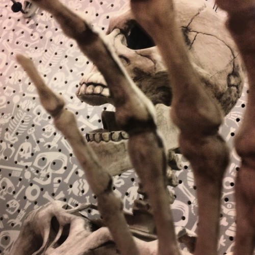 reeph: The #Skeleton Crew at Target is Out of Control! #photography #Halloween