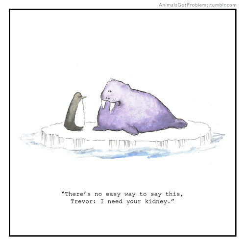 pleatedjeans:  Animals Got Problems - Follow on Tumblr