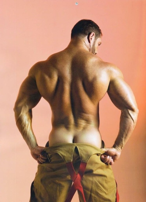 dashboardbutts: Dashboard Butts.