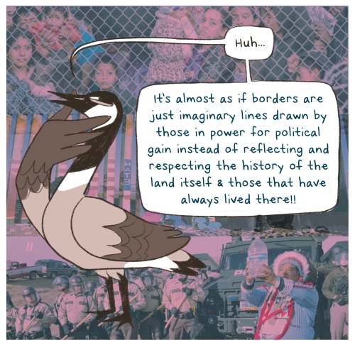 biophonies:ah, i’m so bad at posting here. acknowledging this Day of Mourning from the lands of Kiikaapoi, Peoria, Potawatomi, Myaamia & Ochethi Sakowin people, aka Chicago, derived from a native word for garlic (mmm…) which is really suitable