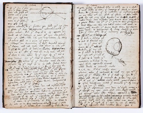 Newton&rsquo;s Book Pages