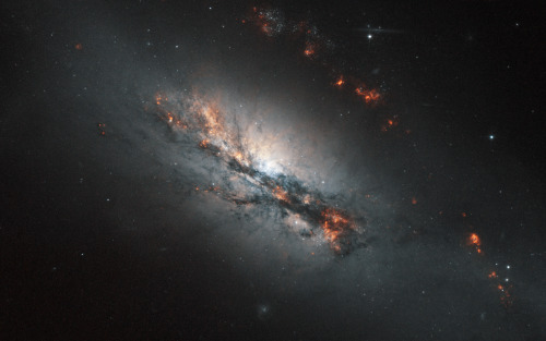 the-universe-njo:NGC 2146the Night Sky does not Repeat itself / سماء الليل لا تكرّر نفسَها