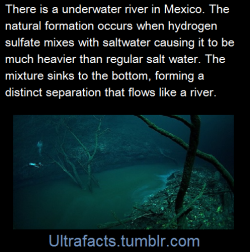 ultrafacts:   Cenote Angelita on Mexico’s