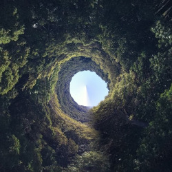 sitoutside:   #rabbithole #wonderland   by  HabitForming  