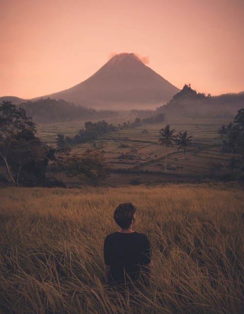 helpingg: Bali, 2017