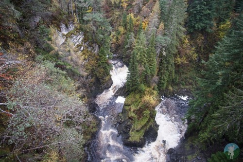 It’s been such an odd year for tourism in Scotland that even Loch Ness was pretty silent. Made the p