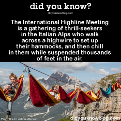 Did-You-Kno:  The International Highline Meeting Is A Gathering Of Thrill-Seekers