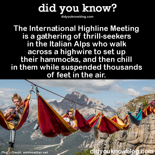 did-you-kno:  The International Highline Meeting is a gathering of thrill-seekers in the Italian Alps who walk across a highwire to set up their hammocks, and then chill in them while suspended thousands of feet in the air.   Source