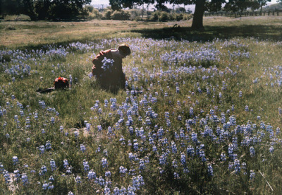 fairydrowning:– Picking Wild Flowers, Santa Cruz c.1927 (Via &ldquo;maudelynn&rdquo;