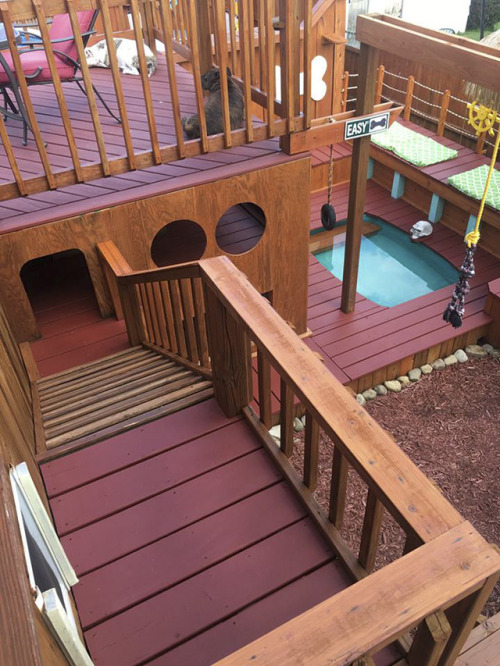 amazingpetenclosures:archiemcphee:Pennsylvania resident Aaron Franks turned his backyard into an awesome playground for 