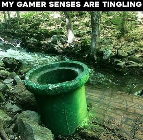 supermarioblosblog:game-posts:I’d be so tempted to jump into that thingI poo here