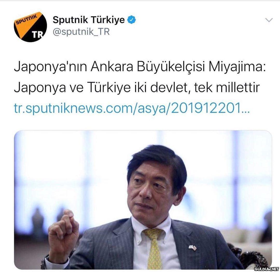 Tek Samuray Tek Japon Tek...