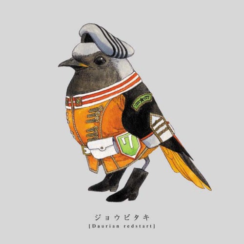 cnvsblg:  Great illustrations of birds in nautical uniform by Japanese illustrator, Sato. 