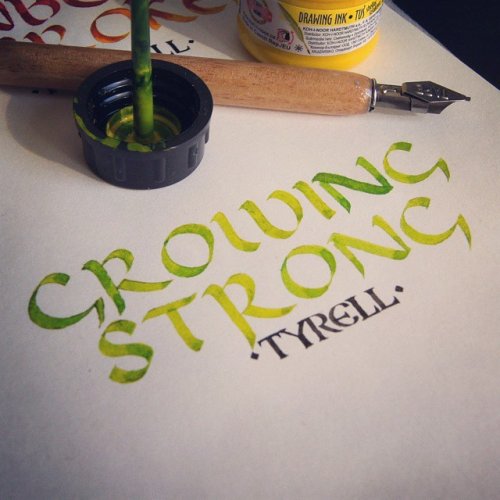lil-miss-choc:pixalry:Game of Thrones Houses &amp; Mottos Created by Darina DarvinDamn, the