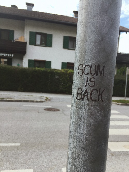 scum manifesto