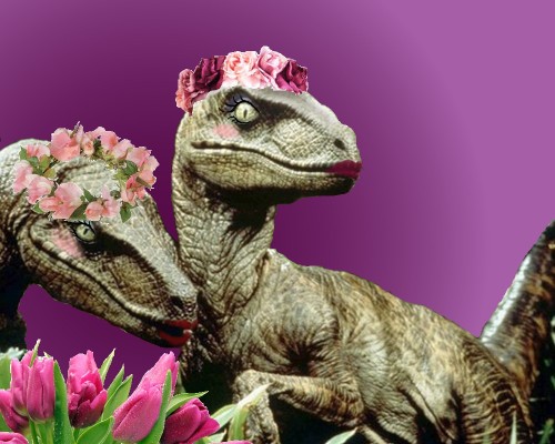 theblackcatmasque: Google failed to provide me with enough raptor in flower crowns so I made my own
