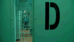 Prison AU - His Entire Life Chuck Was Treated Differently Just Because His Father Is A Criminal So It’s