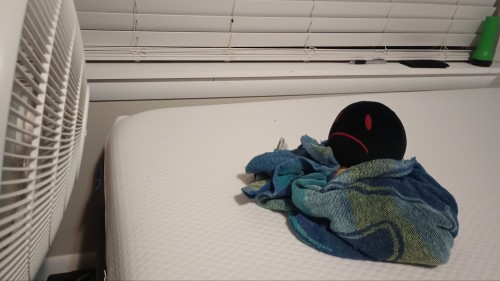 Gave Hoody A Bath, He Had A Miserable Time