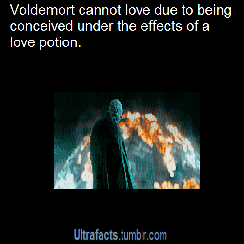 dr-andmrs-watson:  ultrafacts:  8 facts about the Harry Potter Movies. More facts on Ultrafacts!  was the last fact seriously necessary?   Seriously.