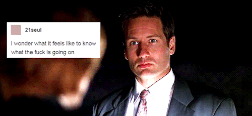 fox mulder + text posts (5/?)